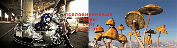 скорость Магас