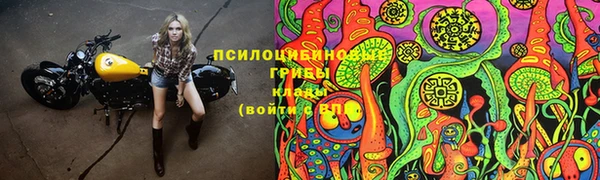PSILOCYBIN Лиски