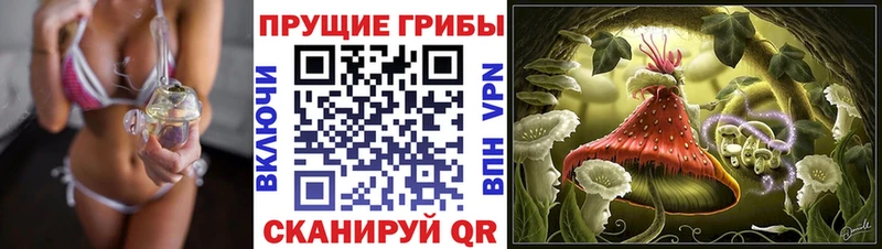 Псилоцибиновые грибы GOLDEN TEACHER  Купить где  Мглин 